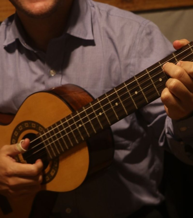 Viola